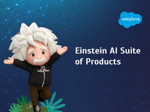 Einstein AI Suite of Products